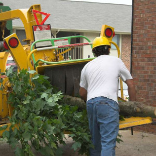 M. A. Garcia Tree Service Inc. | Tyler, TX | Tree Services, Trimming ...